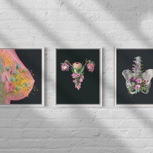 Lámina artística médica con anatomía floral del seno: Ideal para regalar a madres, madres lactantes, ginecólogos y obstetras. imagen 9