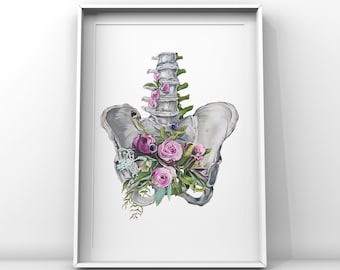 Floral Pelvis White Background Print of Oil Painting - Anatomical Art Print - Human Body - Medical Art