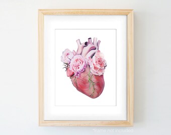 May include: A watercolor painting of a human heart with pink roses growing from it. The heart is a realistic anatomical depiction, while the roses are stylized and delicate.