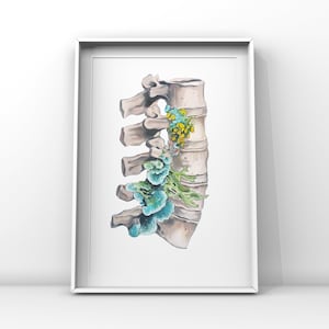 Floral Lumbar Spine White Background Vertebrae Print of Oil Painting - Anatomical Art Print - Human Body - Medical Art