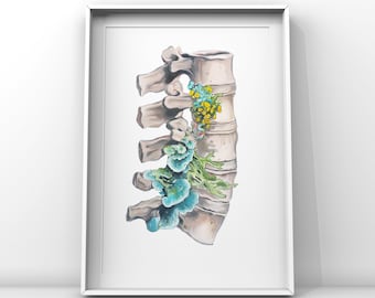Floral Lumbar Spine White Background Vertebrae Print of Oil Painting - Anatomical Art Print - Human Body - Medical Art