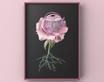 Floral Eye Anatomy Print of Oil Painting - Anatomical Art Print - Human Body - Medical Art