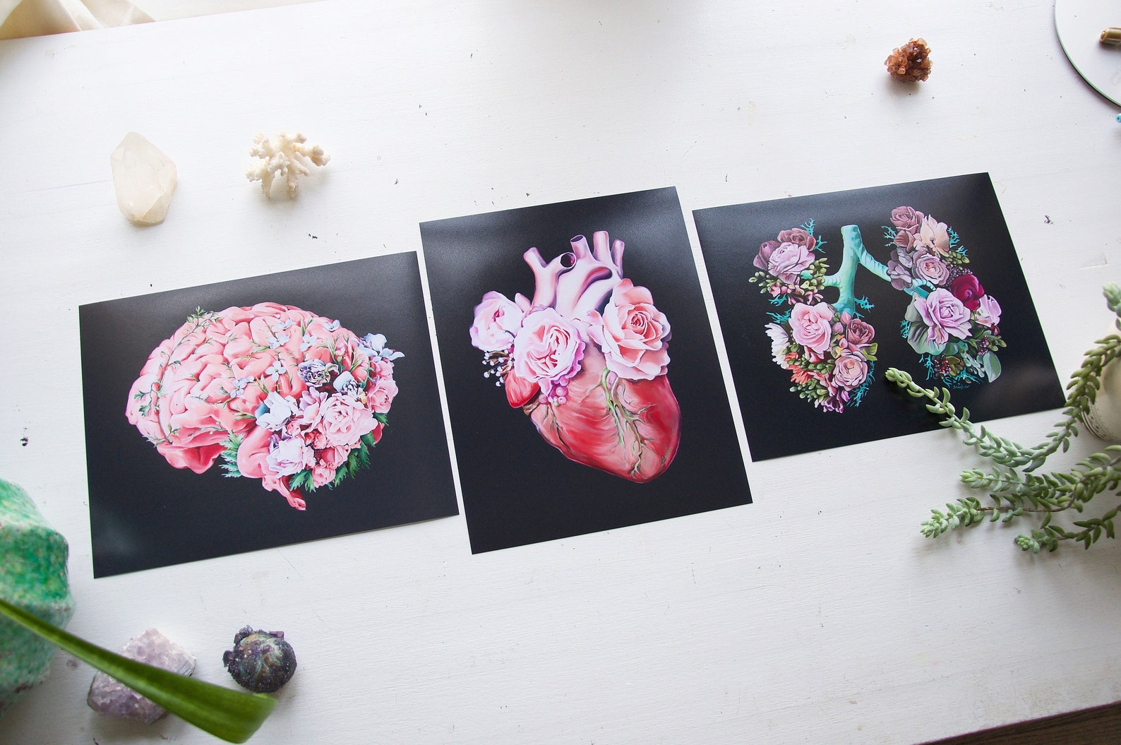 Floral Anatomy Art Print Gift Set Anatomical Art Prints Etsy