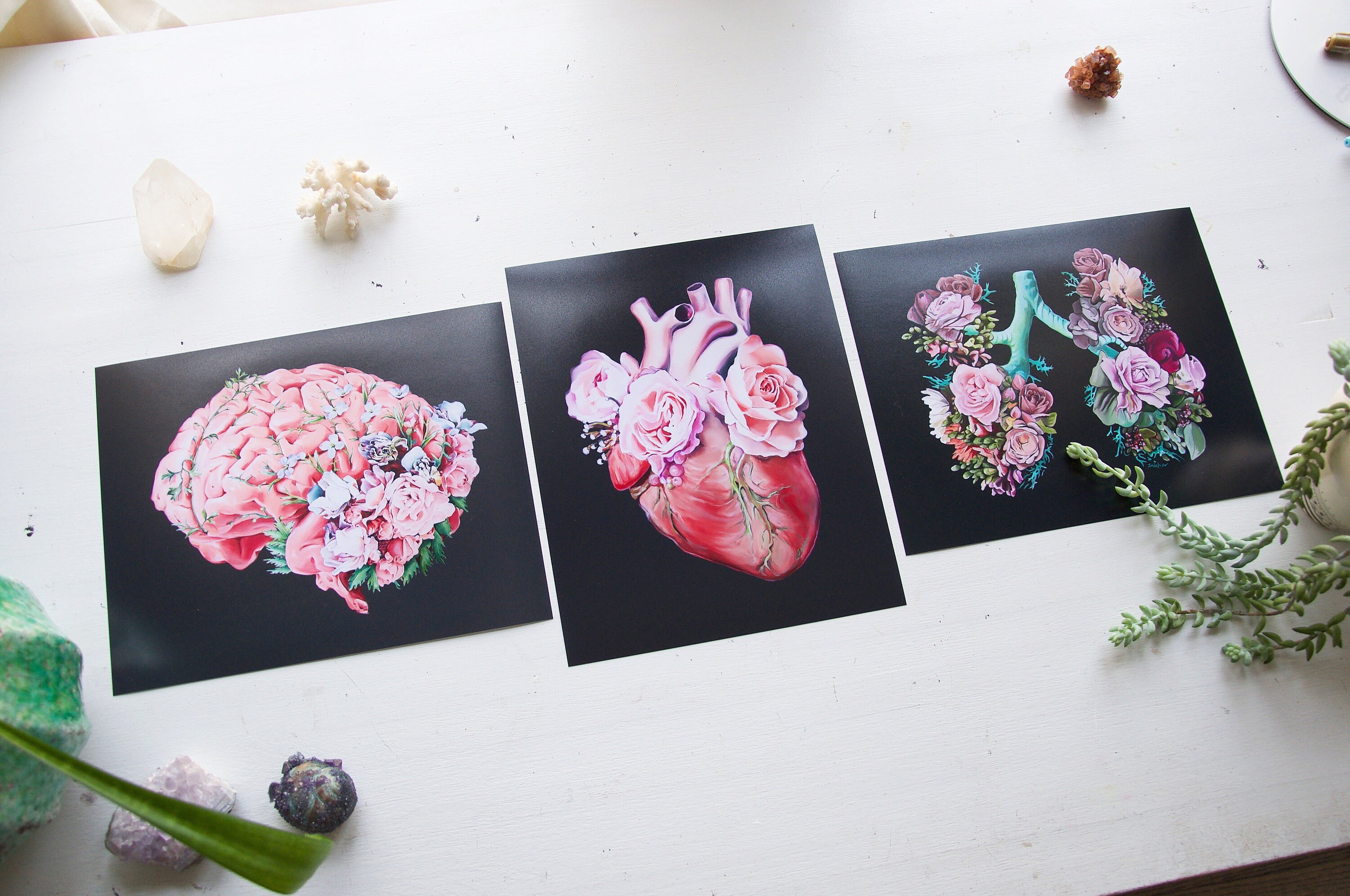 Floral Anatomy Art Print Gift Set - Anatomical Art Prints - Human Body ...