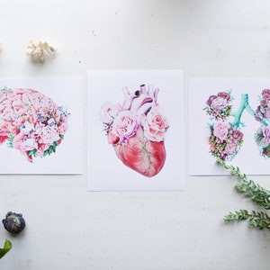 Floral Brain White Background Print of Oil Painting - Anatomical Art ...