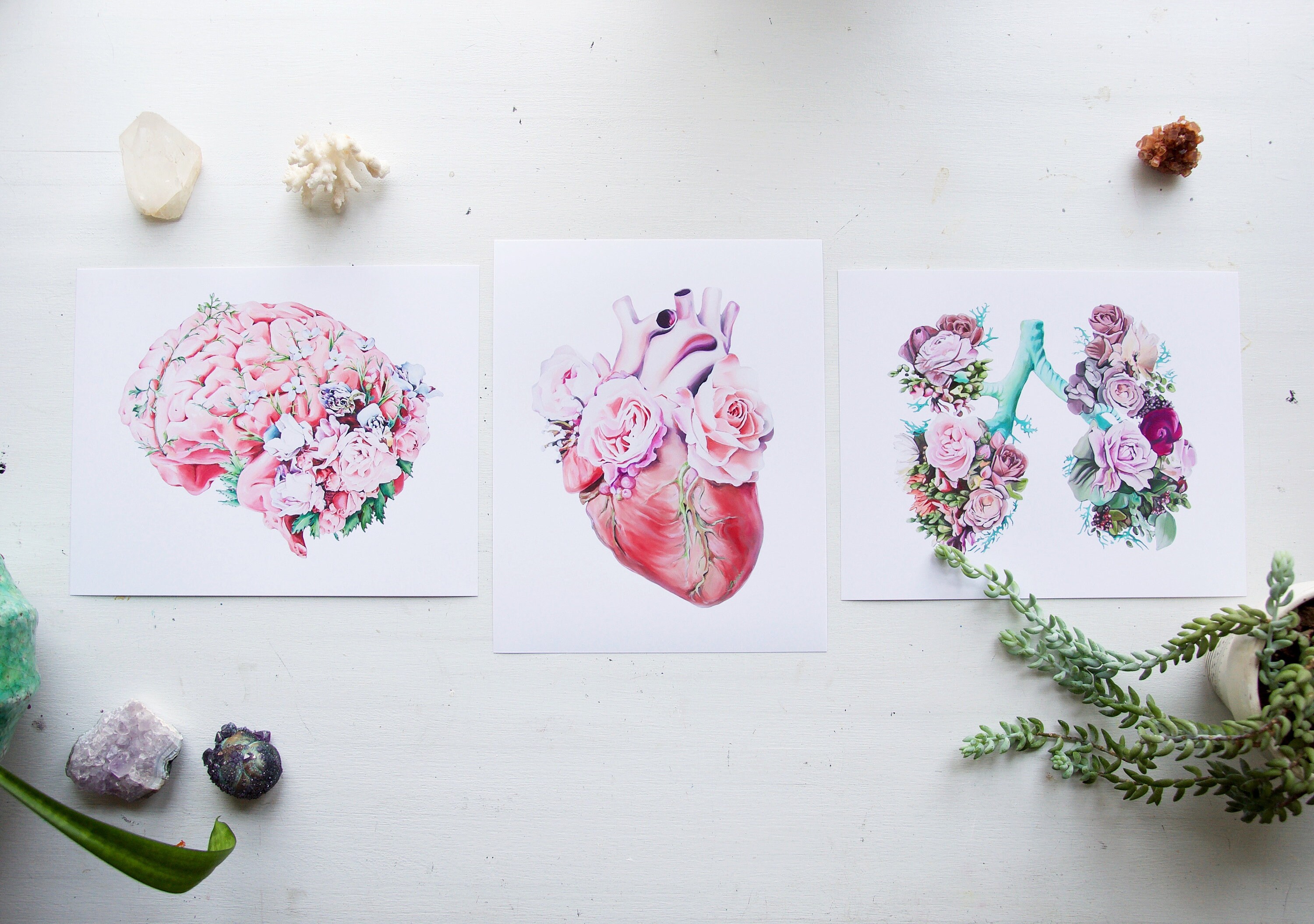 Floral Brain White Background Print of Oil Painting - Anatomical Art ...