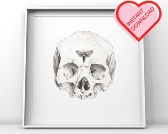Skull and Moth Printable Watercolor Painting Anatomy Digital Download | Anatomical Wall Art | Skeleton Decor
