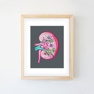 Floral Kidney Transplant Print Anatomical Art Human Body Medical Art image 3