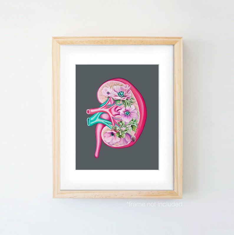 Floral Kidney Transplant Print Anatomical Art Human Body Medical Art image 3