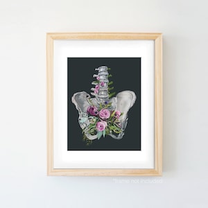 Floral Pelvis Anatomical Art Print Pelvic Floor with Flowers, Medical wall art, Physical therapy gift, Pregnancy, Human anatomy image 5