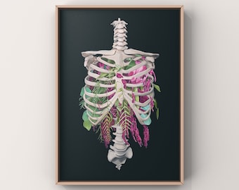 Floral Thoracic Cage- Anatomy Print of Oil Painting - Anatomical Art Print - Human Body - Medical Art