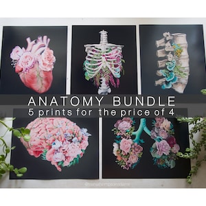 You Choose 5 Print Bundle - Anatomical Art Prints - Human Body - Medical Art