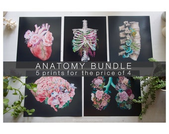 You Choose 5 Print Bundle - Anatomical Art Prints - Human Body - Medical Art