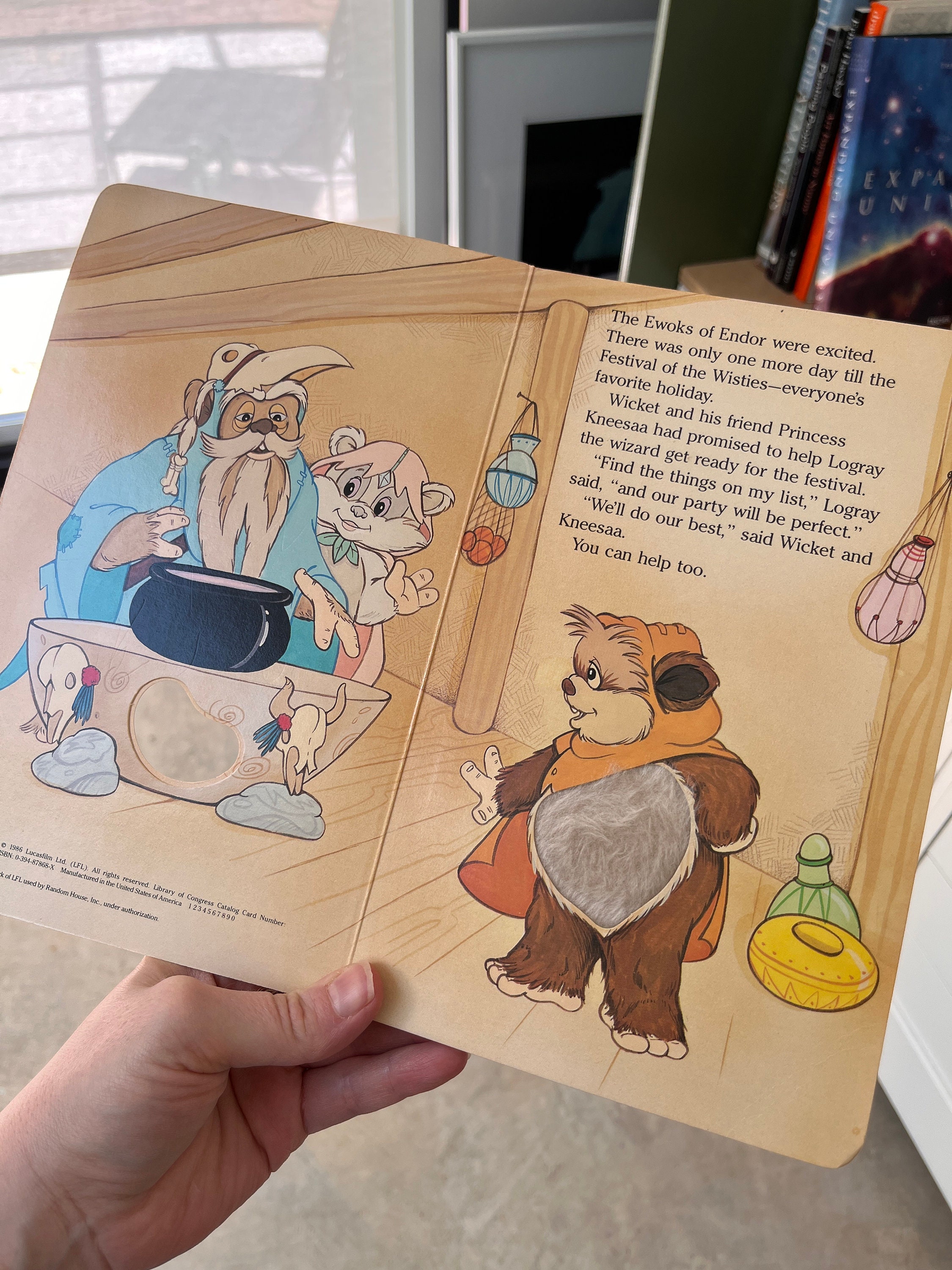 Fuzzy as an Ewok : Things to Touch, See and Smell From the Forest