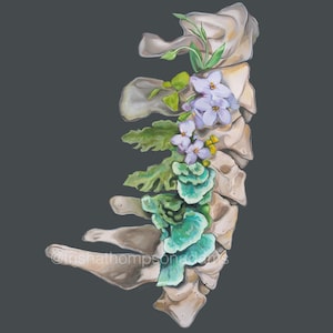 Floral Cervical Spine Vertebrae Print of Oil Painting Anatomical Art Print Human Body Medical Art image 7