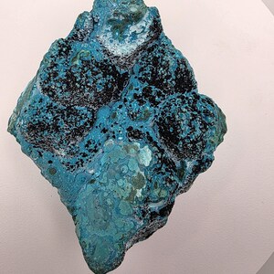 May include: A vibrant, irregularly shaped mineral specimen with a striking combination of teal and black colors. The surface displays a textured, bubbly appearance, with areas of deep teal and patches of black. The text "NMOIIOMN 4 GalaxyXGems" is visible.