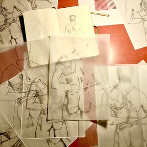 Pu&ograve; includere: Schizzi a matita del corpo umano su carta, alcuni su fogli trasparenti, sovrapposti su una superficie rossa. I disegni sembrano essere studi del torso e della schiena.