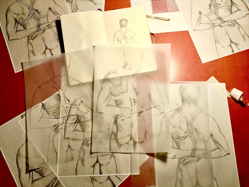 Pu&ograve; includere: Schizzi a matita del corpo umano su carta, alcuni su fogli trasparenti, sovrapposti su una superficie rossa. I disegni sembrano essere studi del torso e della schiena.