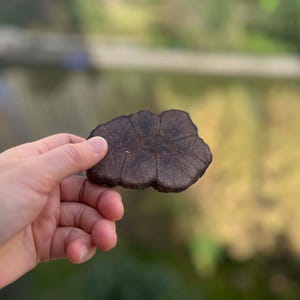 Massivt träunderlägg i vedskiva, tekannaunderlägg i naturträ