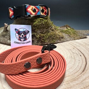 Indian collar leash set S