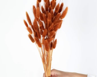 Code di coniglio in terracotta / Lagurus essiccati color ruggine / Erba essiccata / Code di coniglio / Decorazione autunnale per la casa Boho, regalo di fiori secchi