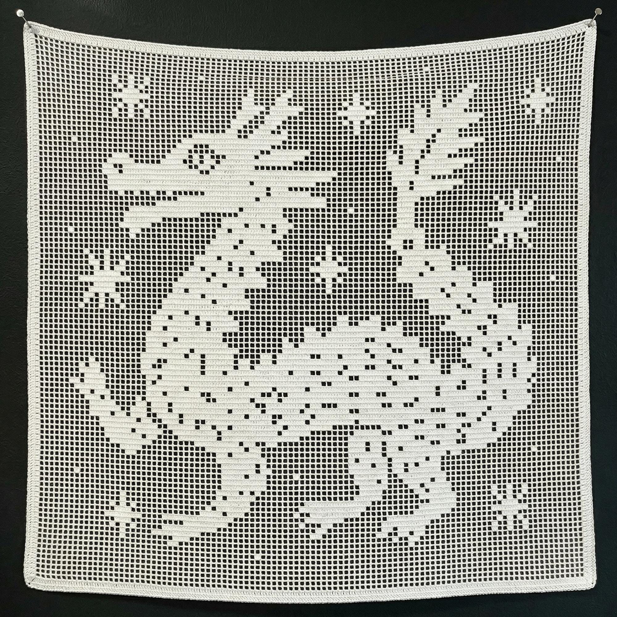 40 Filet Crochet Patterns to Try for Gifts, Decor, and Wearables 39 Filet Crochet Dragon