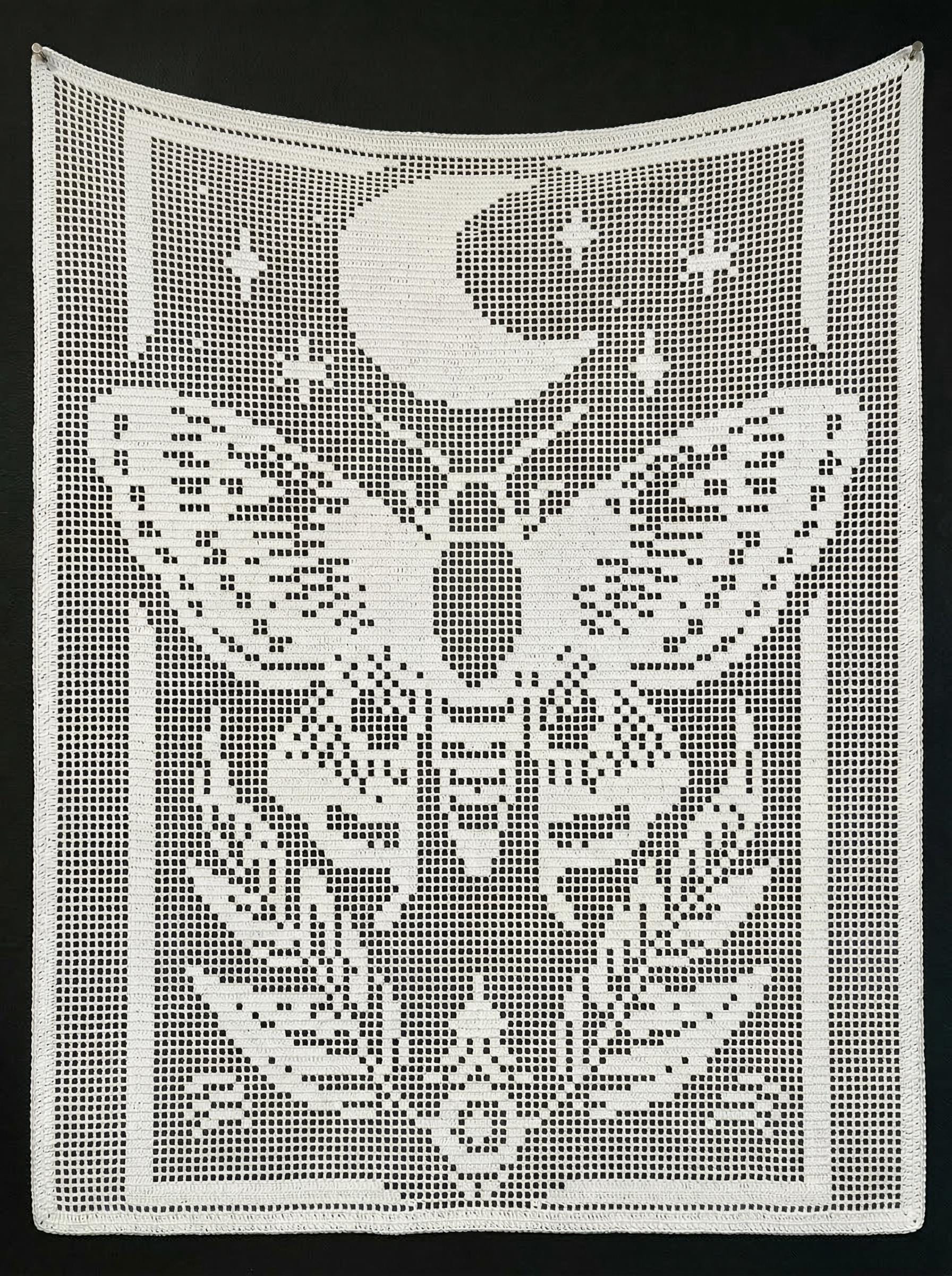 37 Moth Crochet Patterns for Amigurumi, Wearables, and Whimsical Home Decor 32 Filet Crochet Moth N4