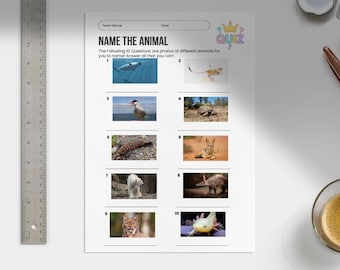 Printable Trivia Quiz: 200 Questions, Pub Quiz, Family Game (PDF Download)