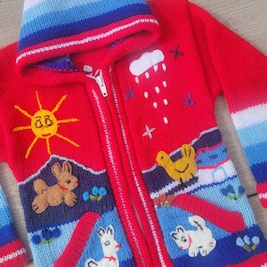 May include: A red, hooded, zip-up sweater with colorful embroidered designs. The hood transitions from red to blue and white stripes. The sweater features embroidered sun, rain, and animal motifs, with a blue, white, and red color scheme. The sweater has a zipper closure.