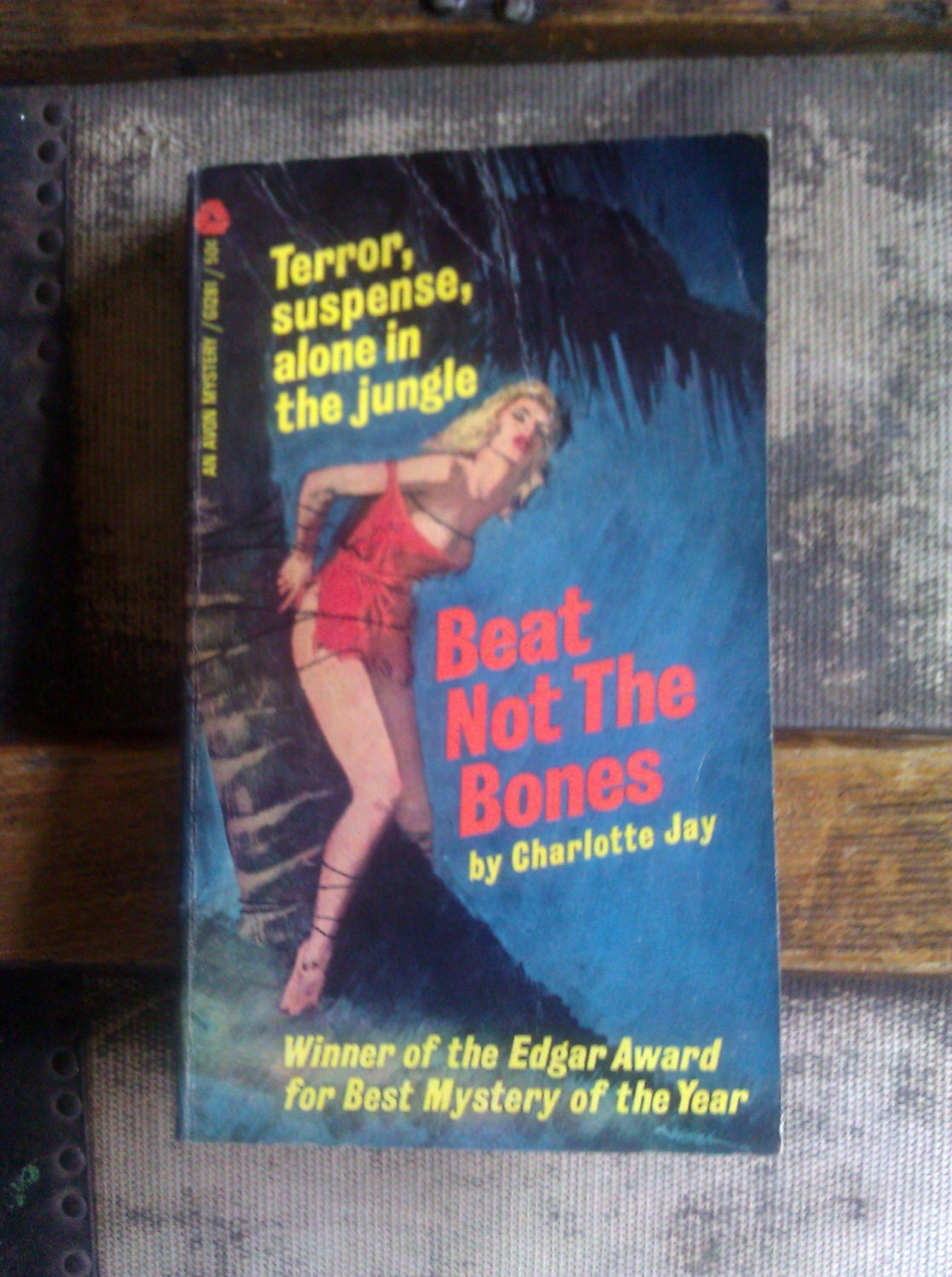 1960s Beat Not The Bones / Charlotte Jay / Rare Paperback/ Vintage Sleaze