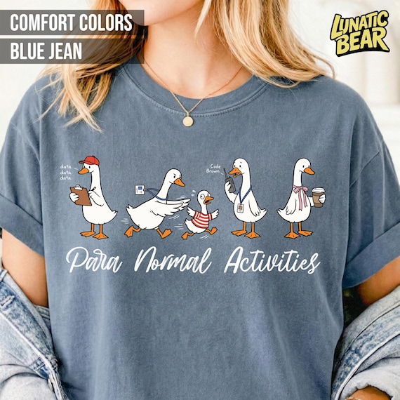 Paraprofessional Silly Goose Comfort Colors Shirt, Para Normal Activities, SpEd RBT Teacher Aide Gift