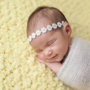 Daisy headband-newborn, babies,spring, summer, Easter, photo prop, newborn halo