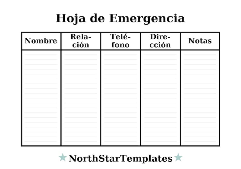 Emergency Sheet Premium Printable and Editable Template DE EN ES - Etsy
