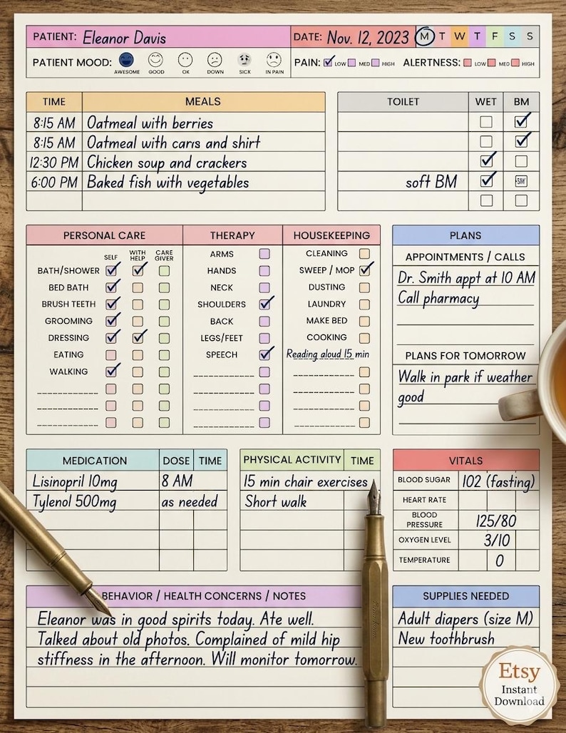 May include: A printable patient care chart with sections for meals, personal care, therapy, and vitals. The chart includes the patient's name, date, and notes. Two pens are placed on the chart. The Etsy logo is in the bottom right corner.