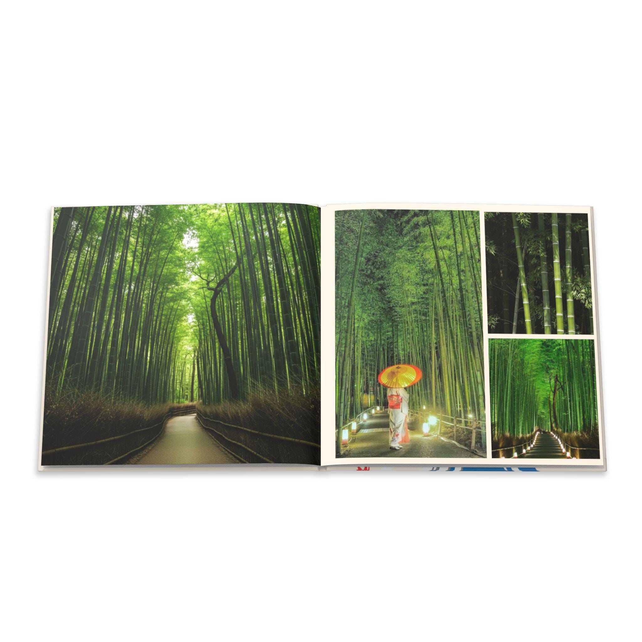 即決OK日本製+Documentary PHOTO BOOK 2019-2020 Japan Travel Photo Book 8x8 Custom Album Mount Fuji Sakura Cover