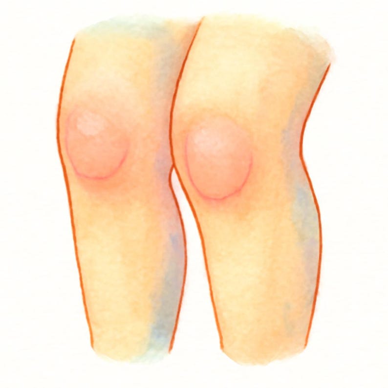 Bilingual Body Parts Flashcards - English Polish Watercolor Learning Cards image 6