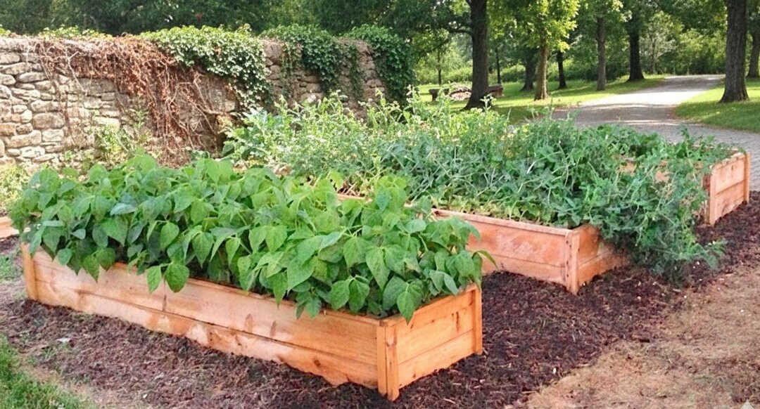DIY Cedar Raised Garden Bed Plans, Narrow Planter Box (digital Download ...