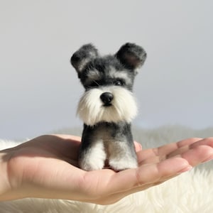 May include: A miniature Schnauzer dog figurine with a white beard and eyebrows, and black and grey fur. The small dog is held in a person's hand, with a white fluffy background.