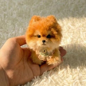 Puede incluir: Un pequeño juguete de peluche de perro Pomerania con pelaje naranja y nariz y ojos negros. El juguete tiene un cuello con volantes con la palabra "AWDIS". El juguete se sostiene en una mano.