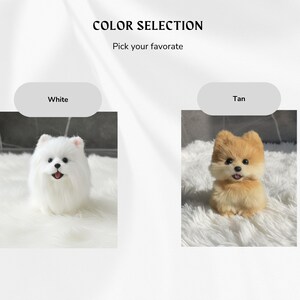 Op de afbeelding: De afbeelding toont twee pluche Pomeranian hondenspeeltjes, &eacute;&eacute;n wit en &eacute;&eacute;n bruin. De tekst "COLOR SELECTION" en "Pick your favorite" staan bovenaan. Elk speeltje staat op een witte, zachte ondergrond, met de kleuropties erboven.