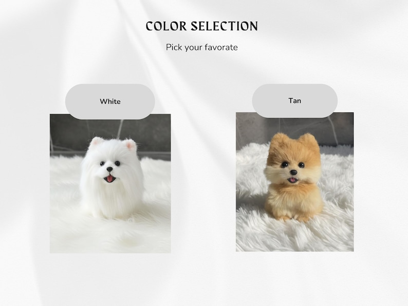 Op de afbeelding: De afbeelding toont twee pluche Pomeranian hondenspeeltjes, &eacute;&eacute;n wit en &eacute;&eacute;n bruin. De tekst "COLOR SELECTION" en "Pick your favorite" staan bovenaan. Elk speeltje staat op een witte, zachte ondergrond, met de kleuropties erboven.