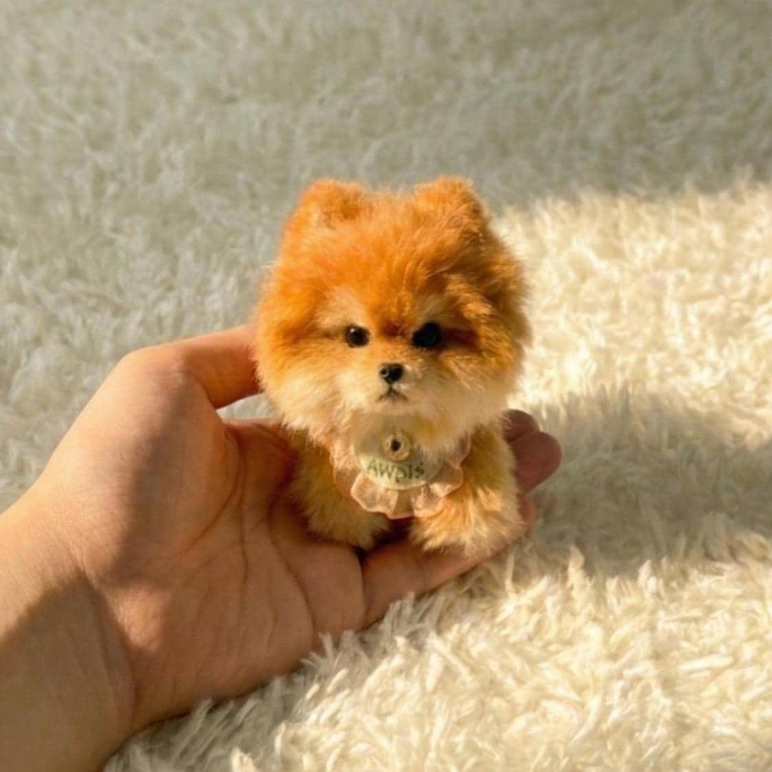スピッツのぬいぐるみ - Etsy 日本