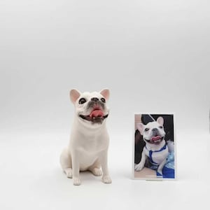 Puede incluir: Una figura de cerámica blanca de un bulldog francés con la lengua rosa, junto a una pequeña foto enmarcada de un perro similar. La figura está sentada erguida con la boca abierta. La foto muestra un perro con un arnés azul.