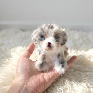 May include: A small, plush toy puppy with a mottled gray, white, and black coat. The figure features bright blue eyes, a small black nose, and soft, textured fur. It is designed to resemble a young dog with floppy ears and a realistic expression.