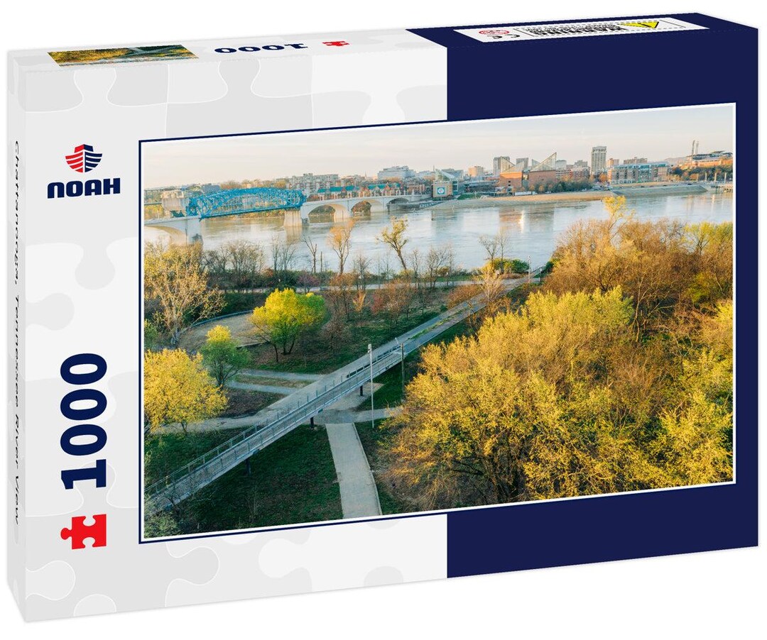 Schmidt Chattanoga Puzzle, 10IT4001504596415IT10