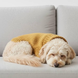 May include: A small, light-colored dog wearing a mustard yellow knitted sweater, curled up and resting on a gray sofa. The dog has its eyes closed and appears to be sleeping peacefully.