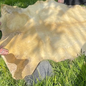 Whole Cow Rawhide Hide, Natural Untanned Leather for Drum Making, DIY Shamanic Drum Supply, Large Craft Hide
