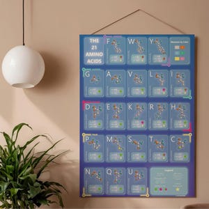Könnte beinhalten: Ein blaues Poster mit den 21 Aminosäuren, jeweils dargestellt durch eine Molekülstruktur. Das Poster enthält den Text "THE 21 AMINO ACIDS" und eine Legende. Das Farbschema umfasst Blau, Grün, Orange und Weiß. Maße sind nicht anwendbar.