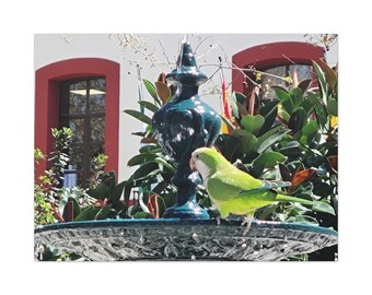 Lienzo decorativo de primavera en Cádiz: Loro verde de Fountain Photography Print