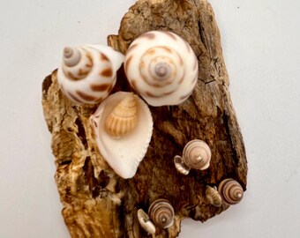 Handmade Driftwood and Seashell Nativity Scene: Coastal Christmas Decor